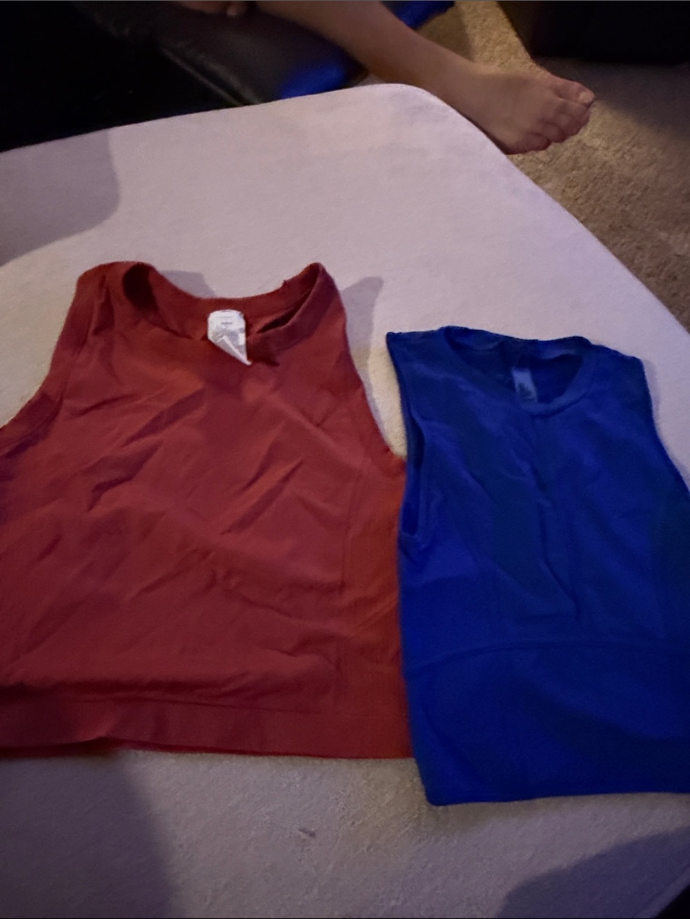 Set of 2 Athletic Tank Tops in Rust (Unknown Brand) and Blue (Garage)